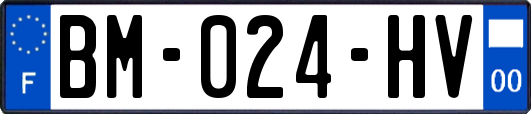 BM-024-HV