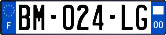 BM-024-LG