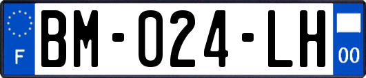 BM-024-LH