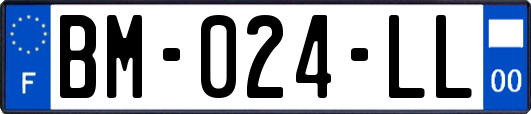 BM-024-LL