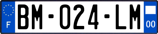 BM-024-LM
