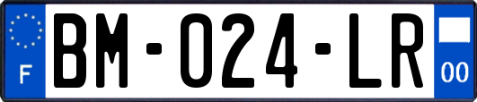 BM-024-LR