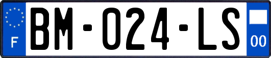 BM-024-LS