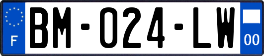 BM-024-LW
