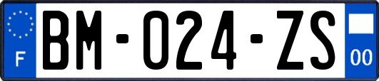 BM-024-ZS