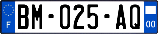 BM-025-AQ