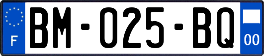 BM-025-BQ