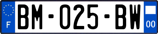 BM-025-BW