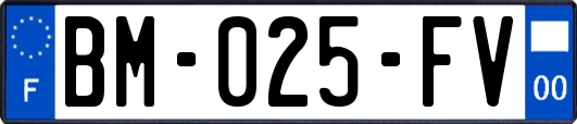 BM-025-FV