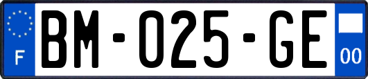 BM-025-GE