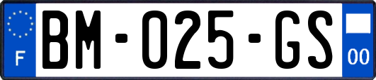 BM-025-GS