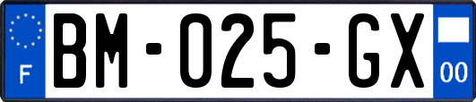 BM-025-GX