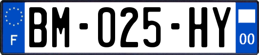 BM-025-HY