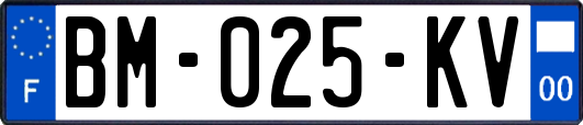 BM-025-KV