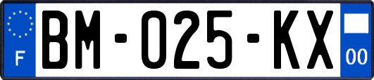 BM-025-KX