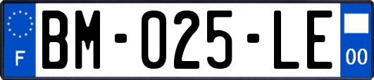 BM-025-LE