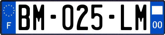 BM-025-LM
