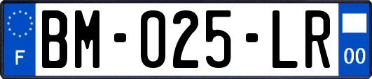 BM-025-LR