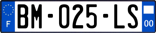 BM-025-LS