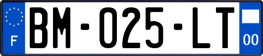 BM-025-LT
