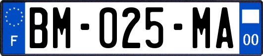 BM-025-MA