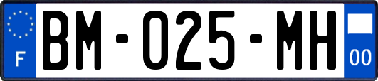 BM-025-MH