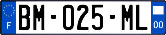 BM-025-ML