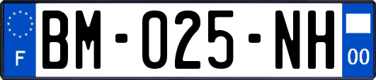 BM-025-NH