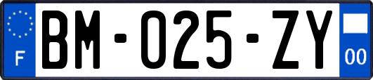 BM-025-ZY