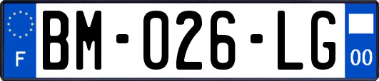 BM-026-LG