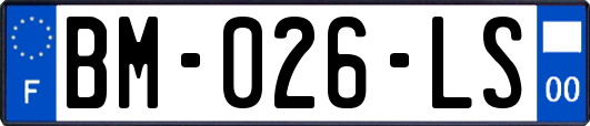 BM-026-LS