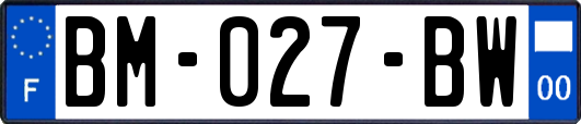 BM-027-BW