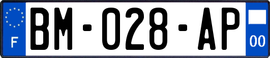 BM-028-AP