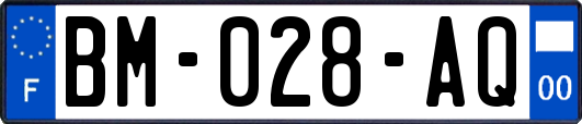 BM-028-AQ