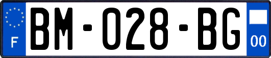 BM-028-BG