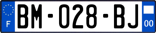 BM-028-BJ