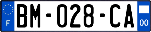 BM-028-CA