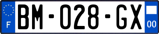 BM-028-GX