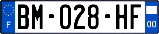 BM-028-HF