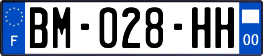 BM-028-HH