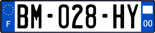 BM-028-HY