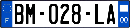 BM-028-LA