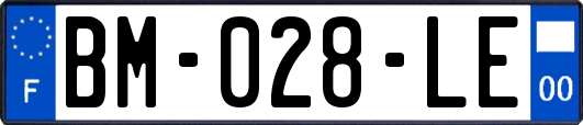 BM-028-LE