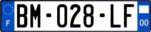 BM-028-LF