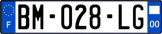 BM-028-LG