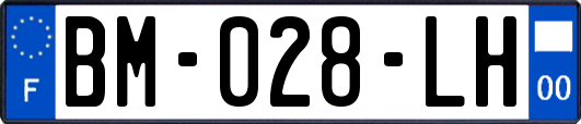 BM-028-LH