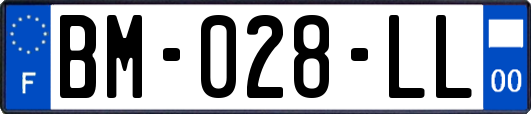 BM-028-LL