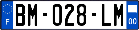 BM-028-LM