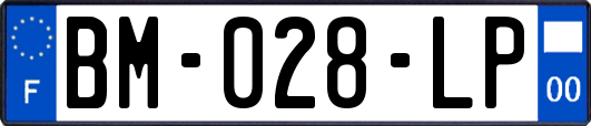 BM-028-LP