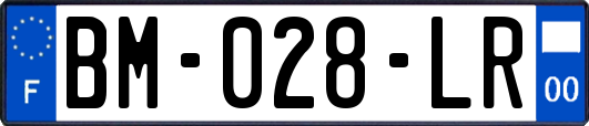 BM-028-LR